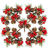Wowagoga 30 PCS Faux Mini Snowy Pine Picks with Red Berries & Natural Pinecones Mini Artificial P...