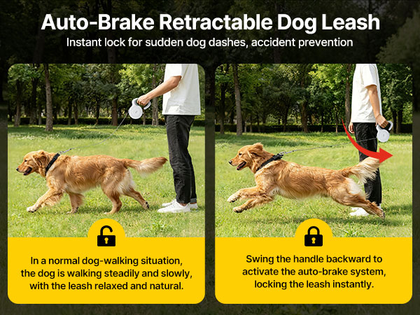 Retractable Dog Leash