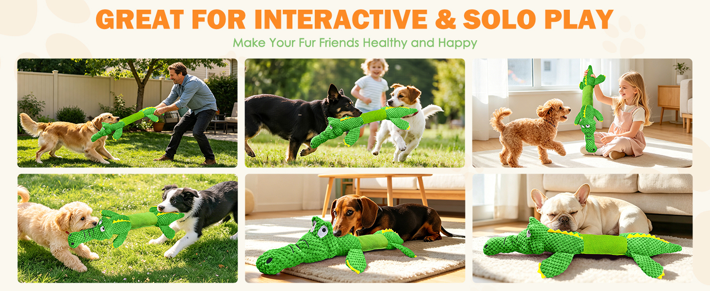 Large dog toys for tugging, chewing, or close play