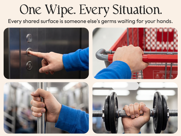 Hand Sanitizer Wipes - Pull Pack - Variety