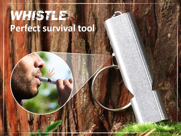 whistle