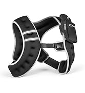 CAP Weighted Vest | 8lb -30lbs | Reflective Workout Vest for Walking, Running, Cardio, Strength T...