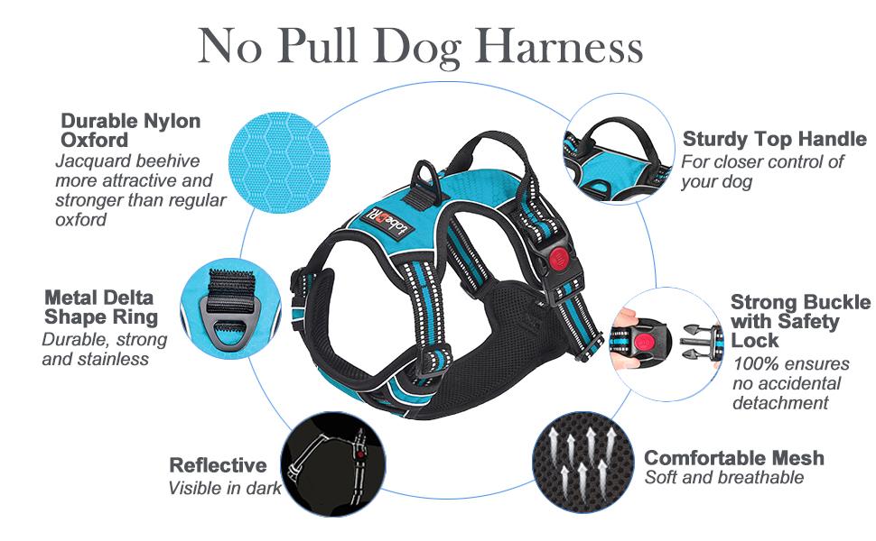 dog harness
