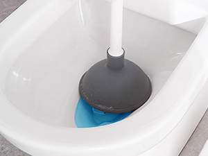 Toilet Brush and Plunger Set