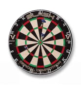 Viper Slash Official Competition Bristle Steel Tip Dartboard, WDF Accredited with Staple-Free Ult...