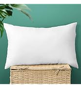 OTOSTAR 16x24Inch Throw Pillow Inserts, Set of 1 Rectangle Form Cushion Stuffers for Couch, Sofa,...