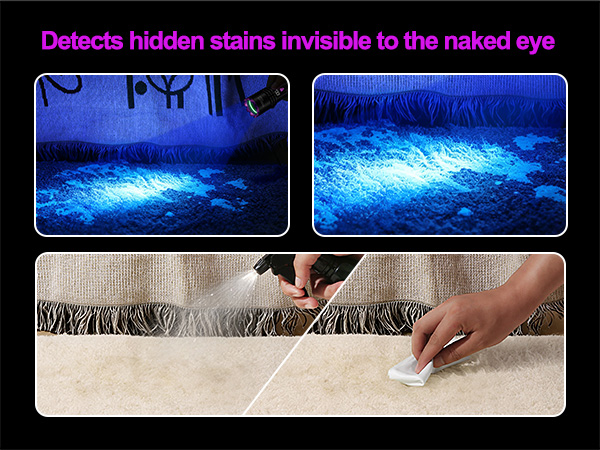 blacklight for pet urine