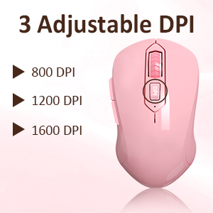 3 Adjustable DPI