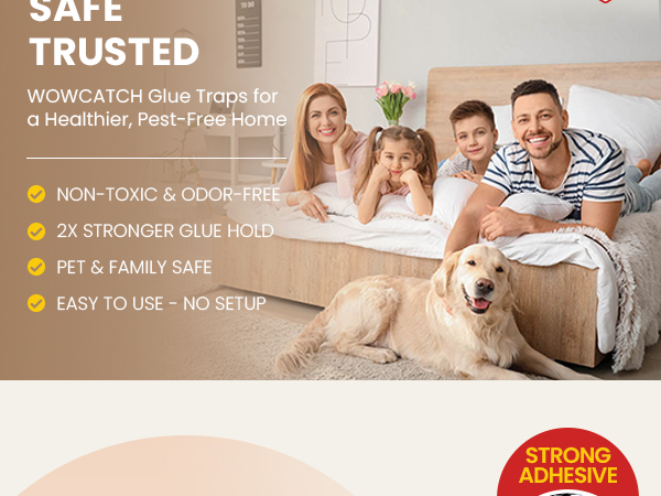 Wowcatch Mouse Glue Traps