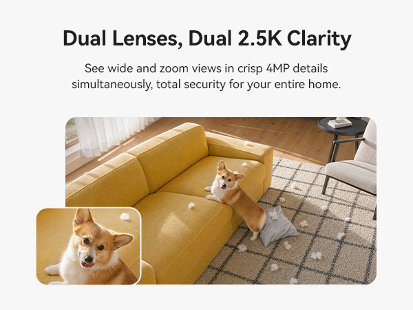 Dual Lenses Dual 2.5K Clarity