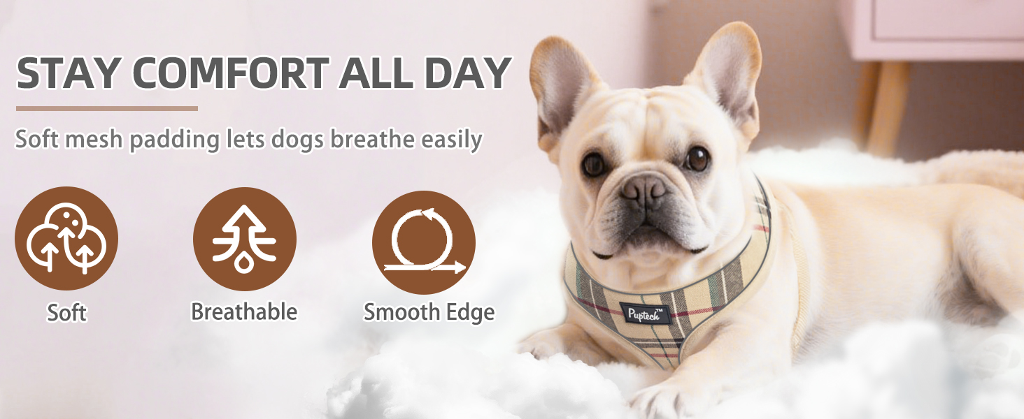 dog harness