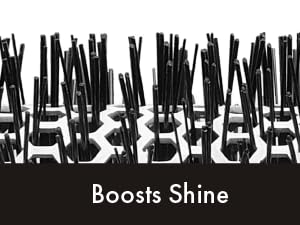 Image of close up of brush follicles with text reading boosts shine.