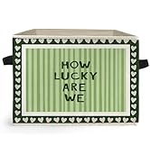 Ghoaoivo Trendy Green Ace Poker Storage Box Bins, How Lucky Are We Retro Funky Playing Card Colla...