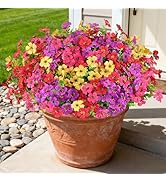 AmberFun 16 Bundles Artificial Flowers for Outdoors, Realistic Fake Silk Flowers for Outside Deco...