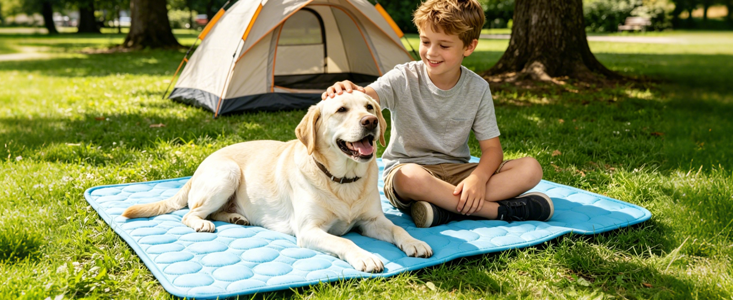 cooling pad for dog