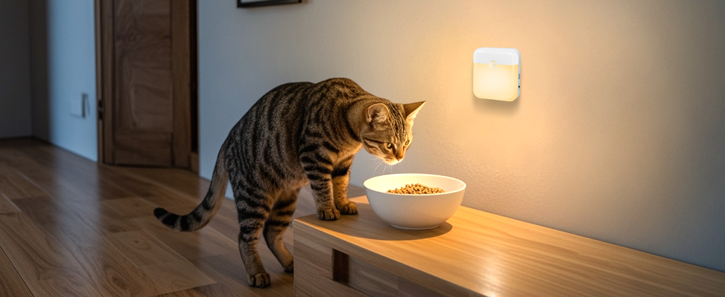rechargeable night light