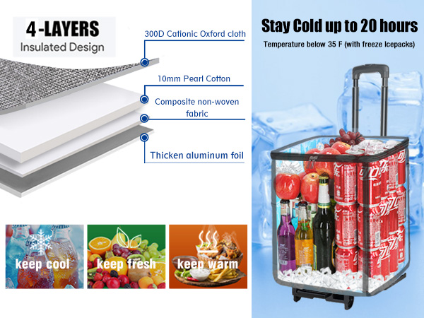 Cooler Bag on Wheels