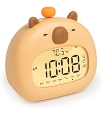 https://m.media-amazon.com/images/S/aplus-media-library-service-media/9c2c81d4-3a0a-4fb7-ae4b-175d007be44e.__AC_SR200,225___.jpg