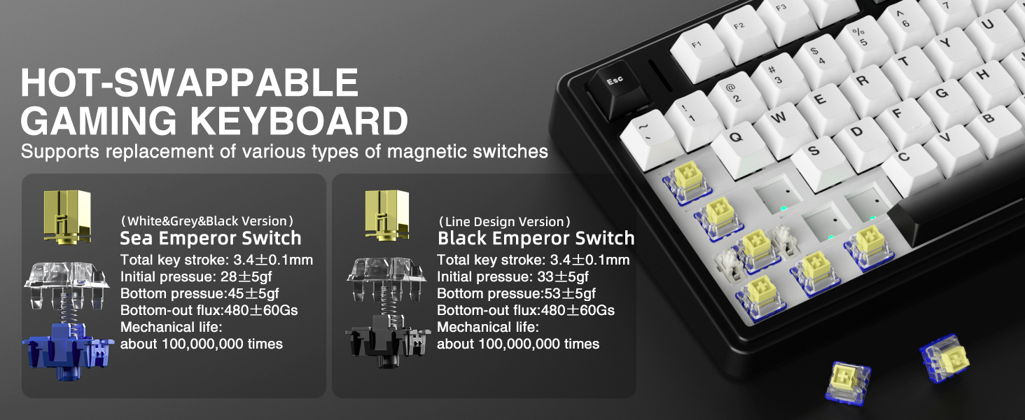 Hall Effect magnetic switches Hot Swappable Keyboard mechanical keyboard for gamer