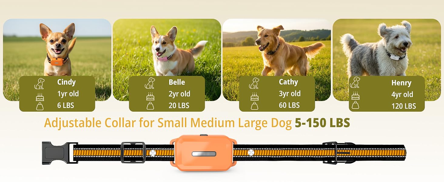 multi dog shock collar 4 pack