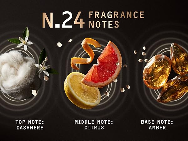n. 24