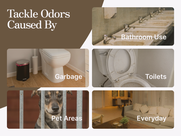 tackle odors caused by garbage, pet areas, toilets, everyday, bathroom use
