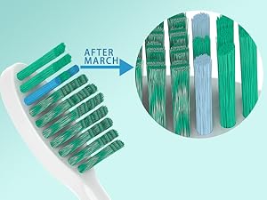 Fade indicator bristles