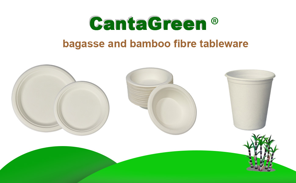 Plate bowl cup