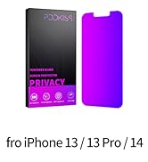 13 pro