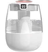 DONGKER Double Spray Humidifier,1L Silent USB Digital Display Humidifier with 2 Mist Modes & Nigh...