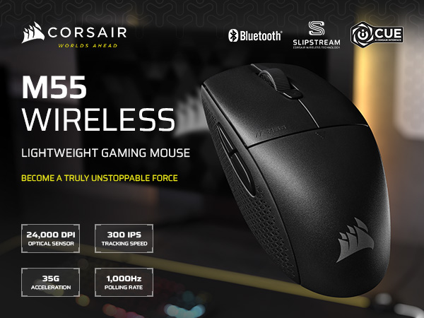 gaming mouse; lightweight mouse; symmetrical mouse; wireless mouse