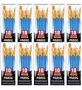Painting Brush Set, 10 Packs /100 Pieces, Nylon Brush Head, Suitable for Oil and Watercolor, Perf...