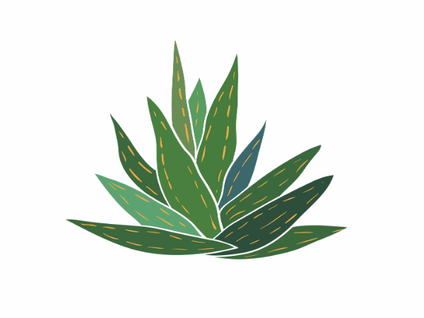 Infused with essential oils like chamomile extract and Calendula to soothe irritated skin