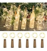Etinga Dual Battery Pack LED Bottle Lights, 6.6ft 20led Double The Lighting Time, for Indoor and ...