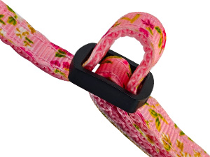 cat collar