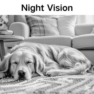 Night Vision
