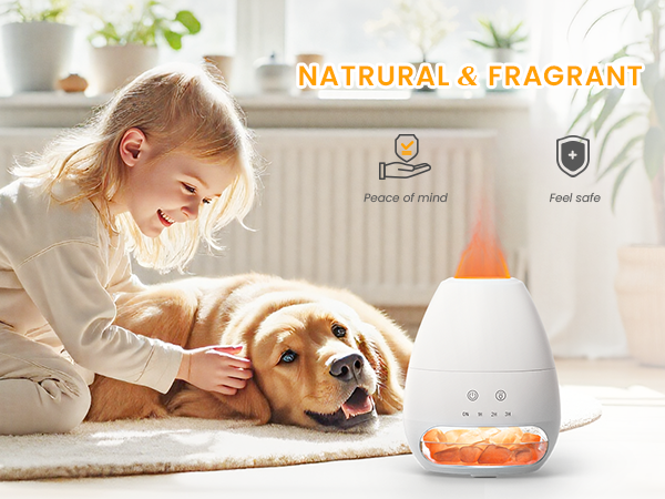 himalayan salt diffuser
