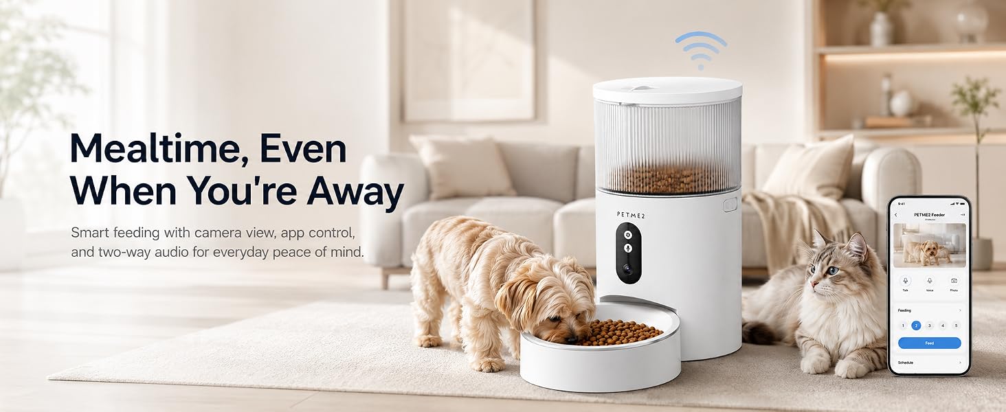 automatic cat feeder