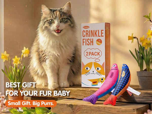 cat supply