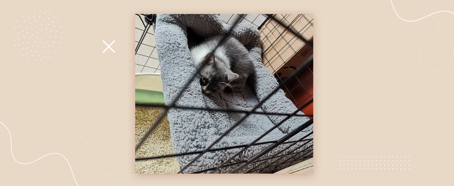 pet mat
