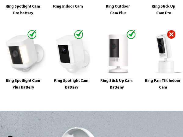 Ring camera mount