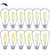 12Packs Vintage LED Edison Bulbs, 60W Equivalent 7W, 800Lumens, Dimmable ST64 Antique LED Filamen...