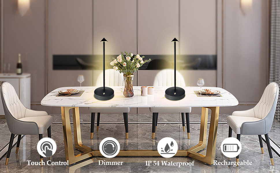 pina led light