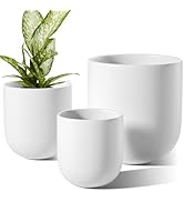 LE TAUCI 6+8+10 Inch Ceramic Pots for Plants, Plant Pots Indoor with Drainage Hole and Plug, Plan...