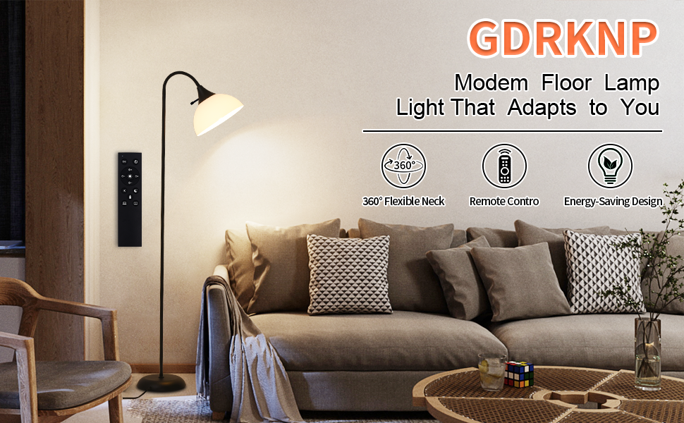 Adjustable Gooseneck Floor Lamp