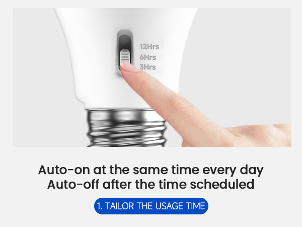 timer bulbs