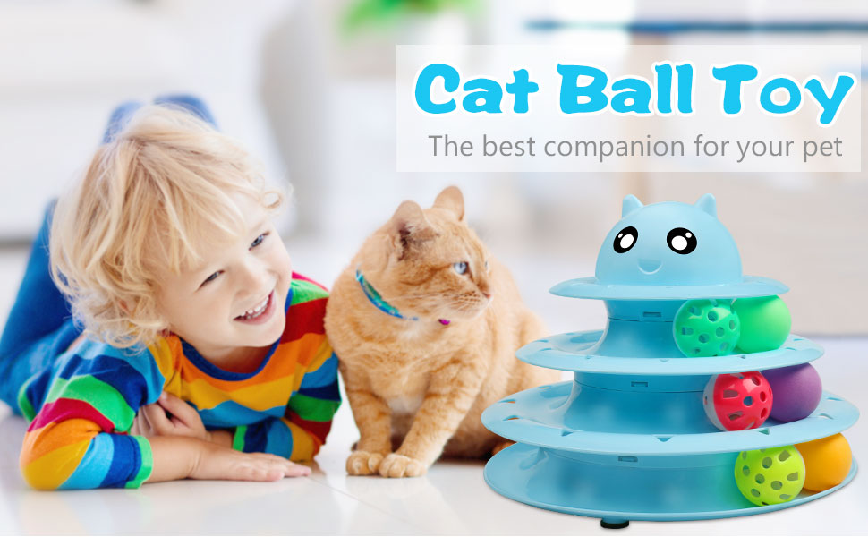 cat toy