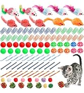 Nicunom 100 Pcs Cat Toys for Indoor Cats and Kittens - Spring, Fur Mice, Crinkle Ball, Sparkle Po...
