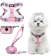 PUPTECK No Pull Dog Harness and Leash Set Reflective No Choke Step in Puppy Halter for XS Small a...