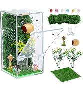 Escape-Proof One-Piece Jumping Spider Enclosure Accessories, Terrarium Kit | 3x3x6in No Assembly ...